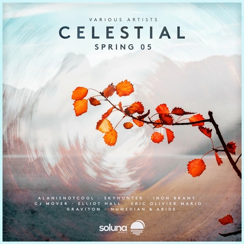 VA - Celestial Spring 05 [SOL270]